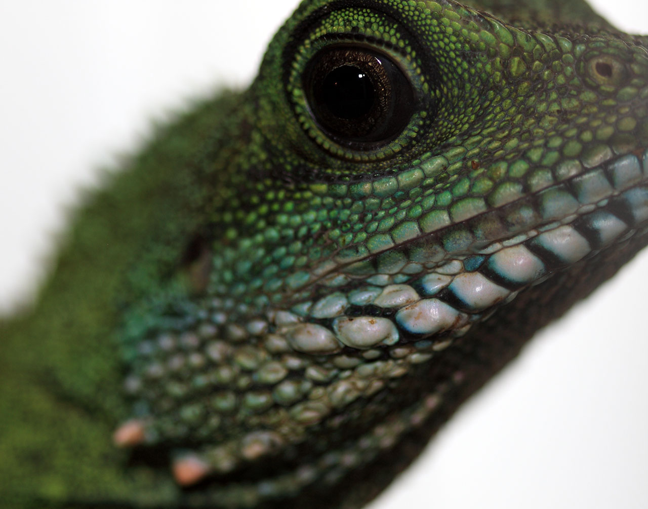close_up_concerned