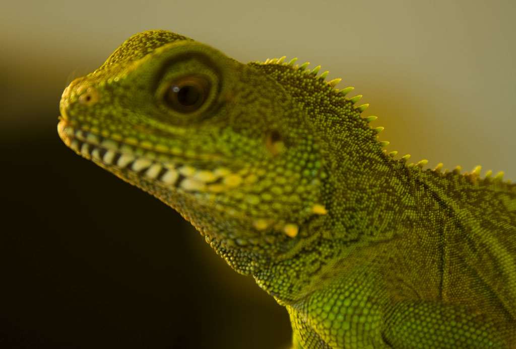 close_up_crete