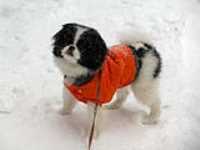 Misso_Neige_4
