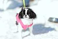 misso_neige_contrast_habit