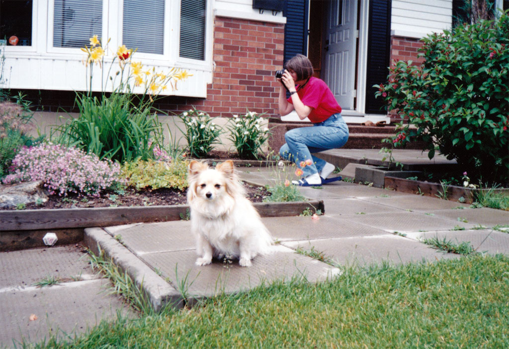 posing_dog
