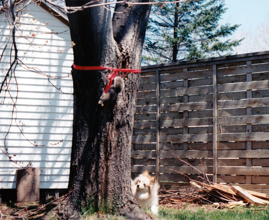 praline_squirrel