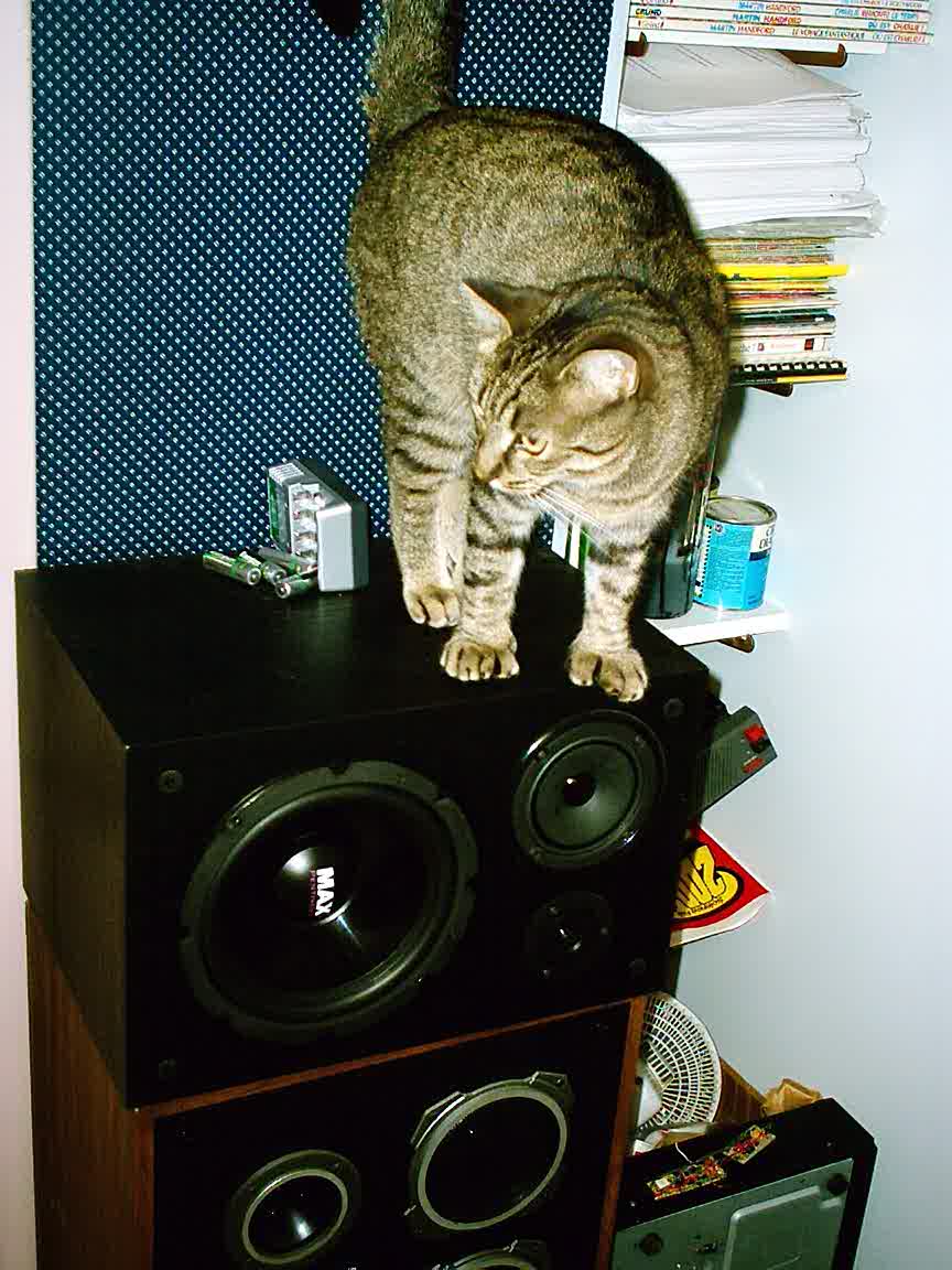 tartine_speaker