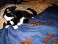 minou_monnie