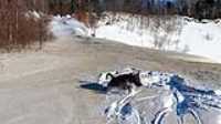 Taiga_jump_snow_dust