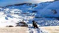 Taiga_watch_snow_dust