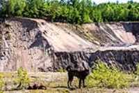 beryl_taiga_quarry_roll