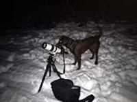 moon_night_taiga_800mm_lens_snow