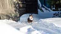 taiga_frisbee_neige_cours_01