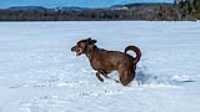taiga_lake_snow_1