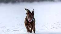 taiga_neige_lac_7