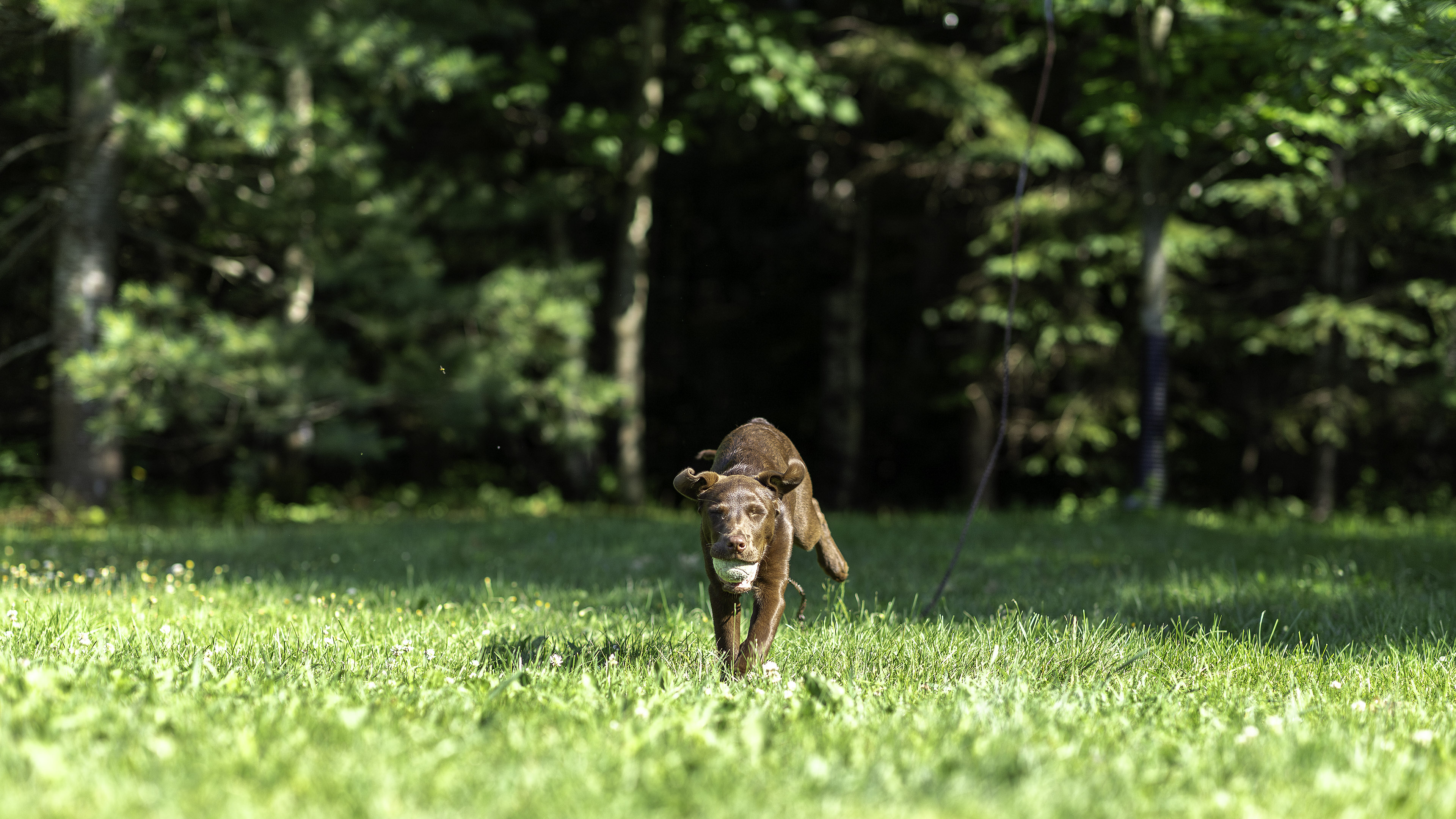 taiga_cours_balle_bebe_3