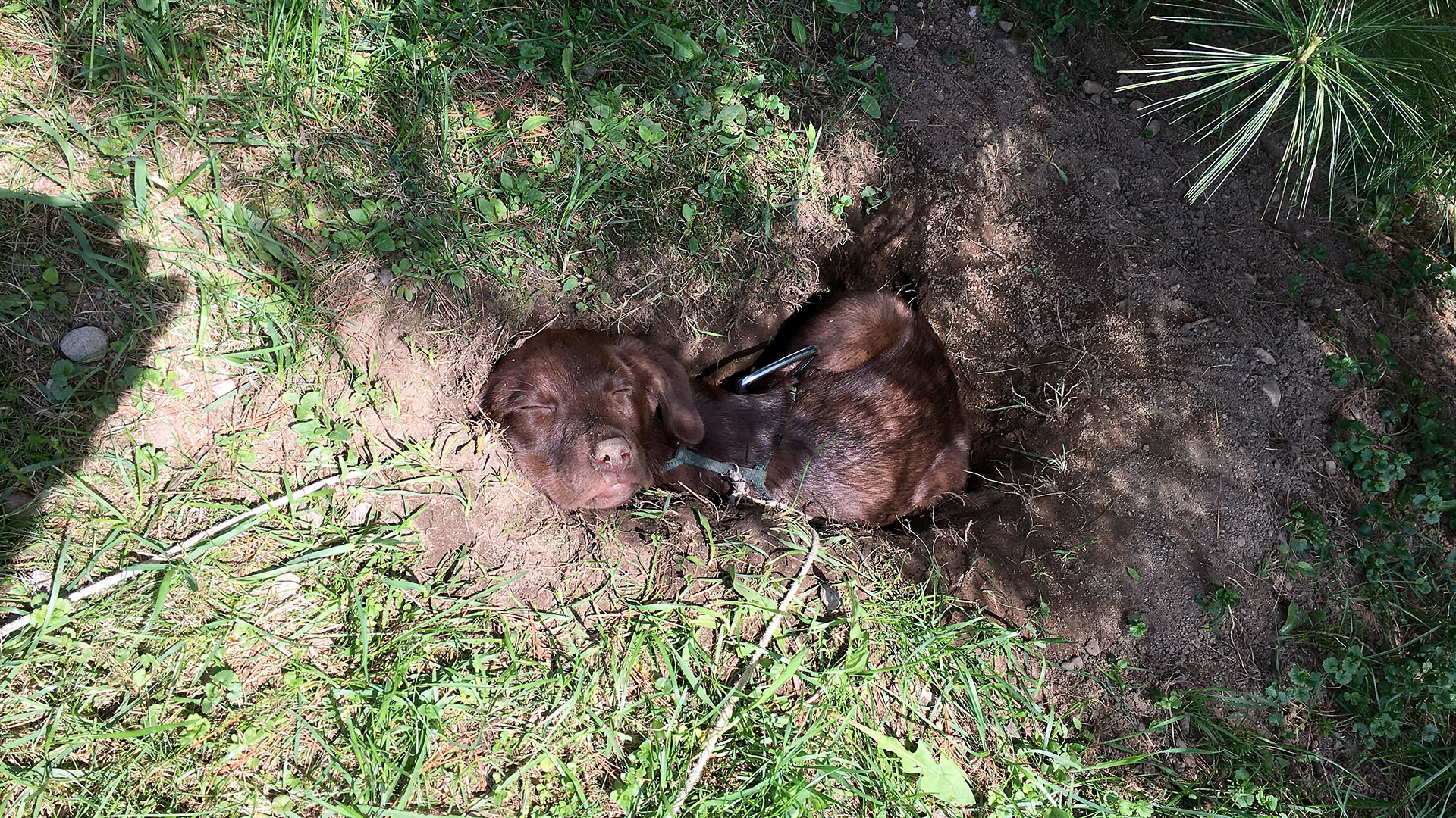 taiga_hole_bed