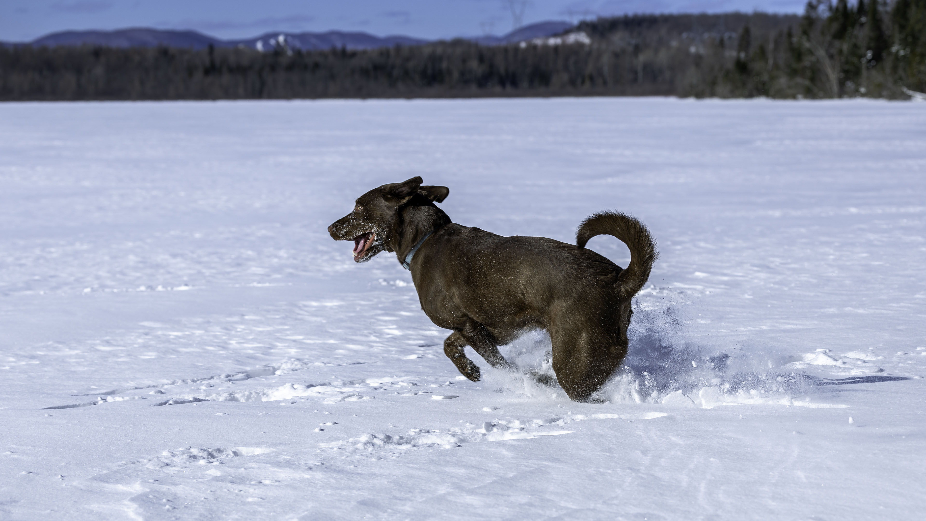 taiga_lake_snow_1