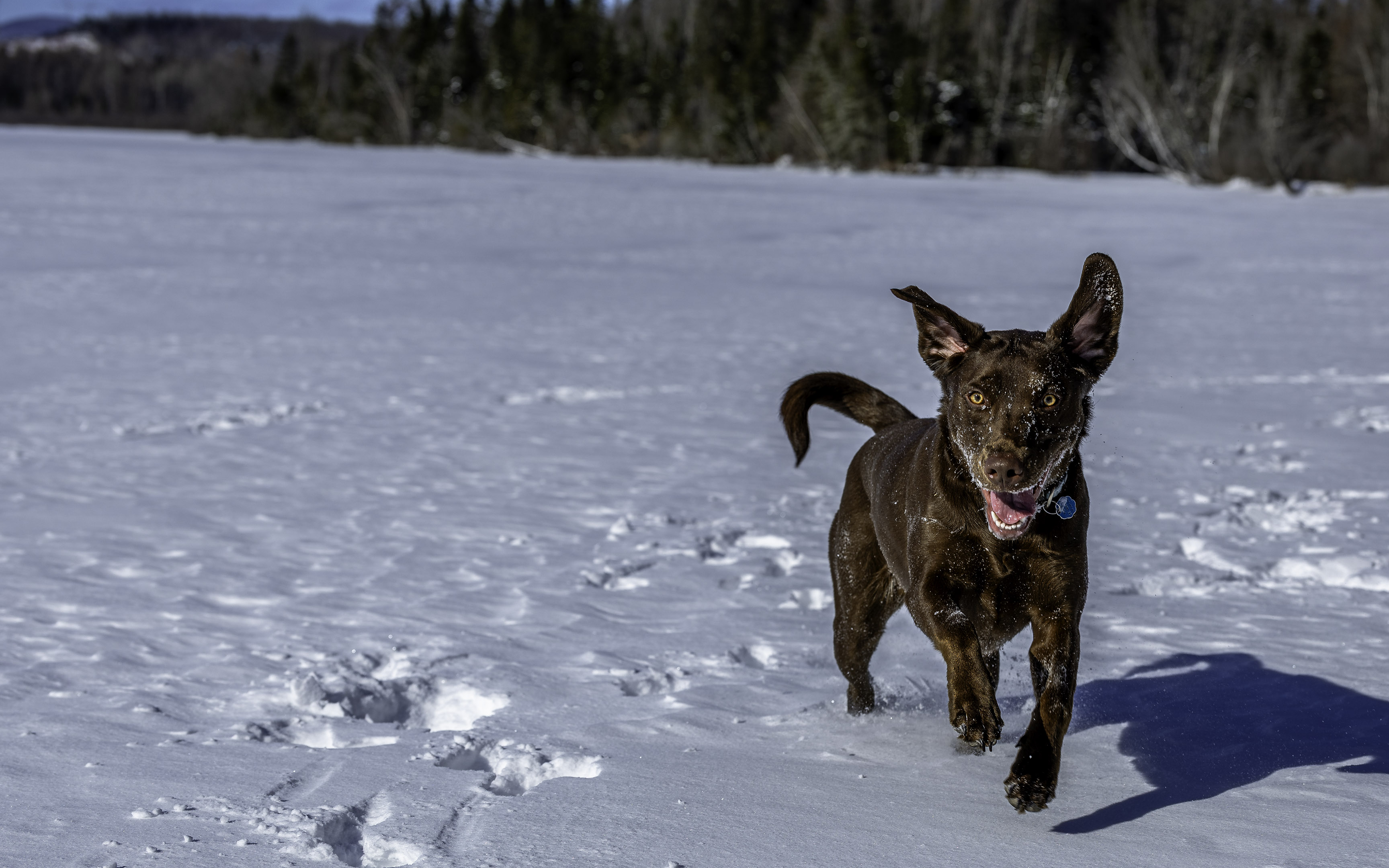 taiga_lake_snow_3