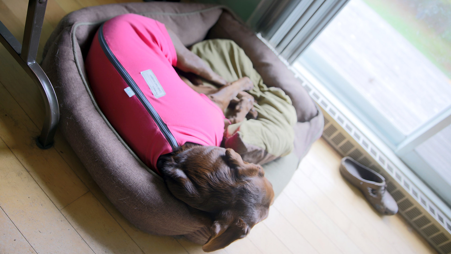 taiga_slep_pajamas_surgery