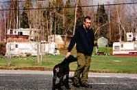 big_dog_elz