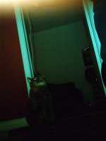 loula_chatdolivier_2