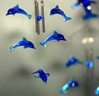 dauphins_tele_flash