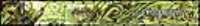 mainheader