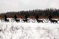 multi_elz_beryl_bike