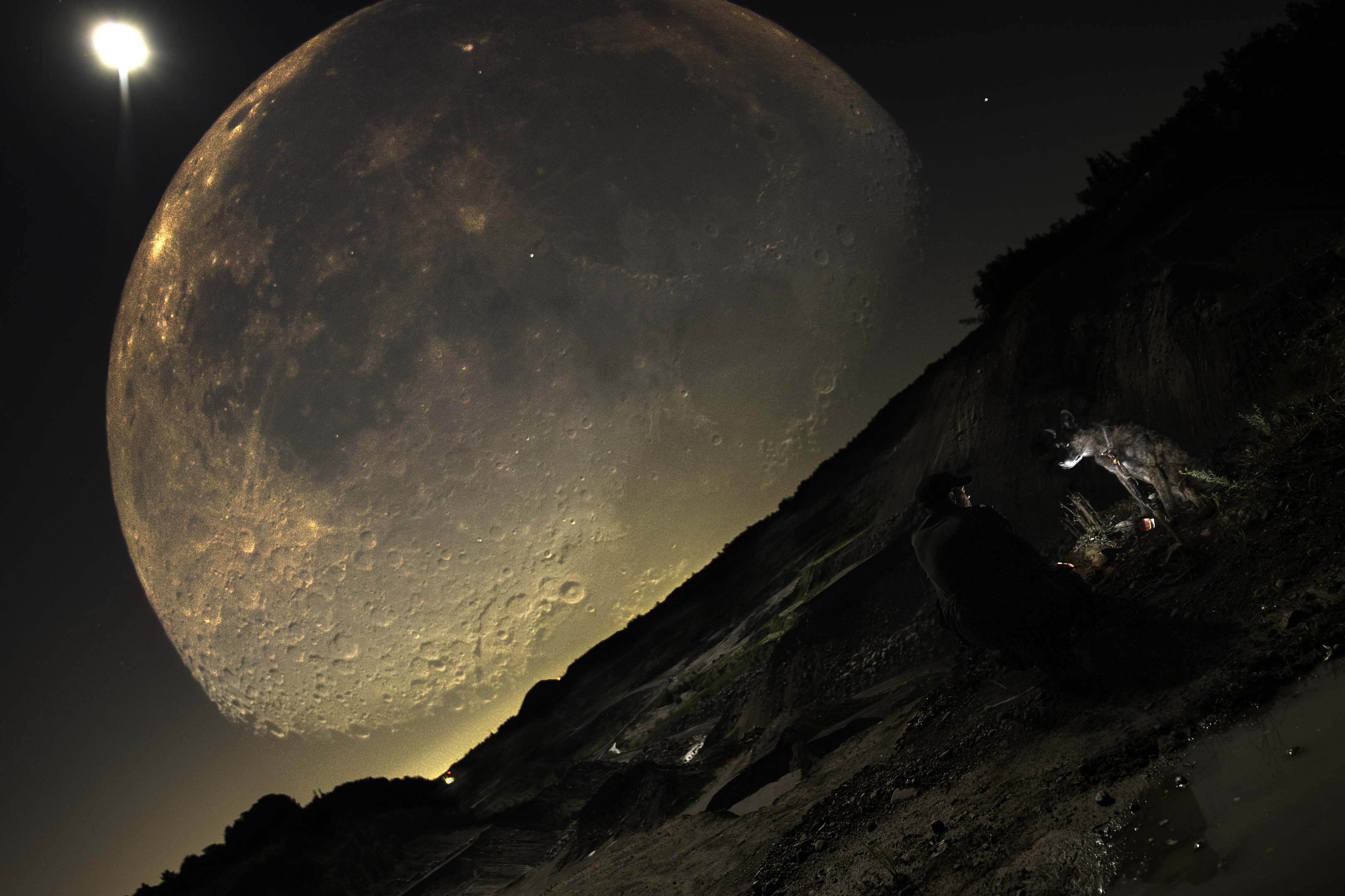 elz_beryl_moonlight