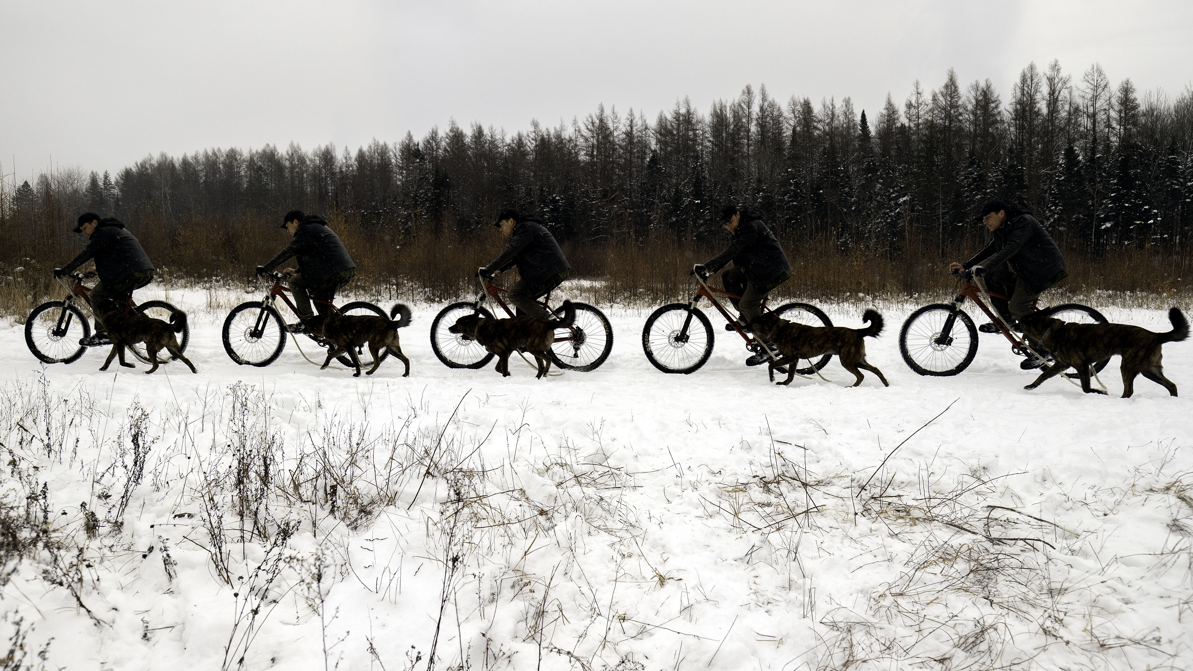 multi_elz_beryl_bike