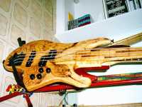 bass_body2