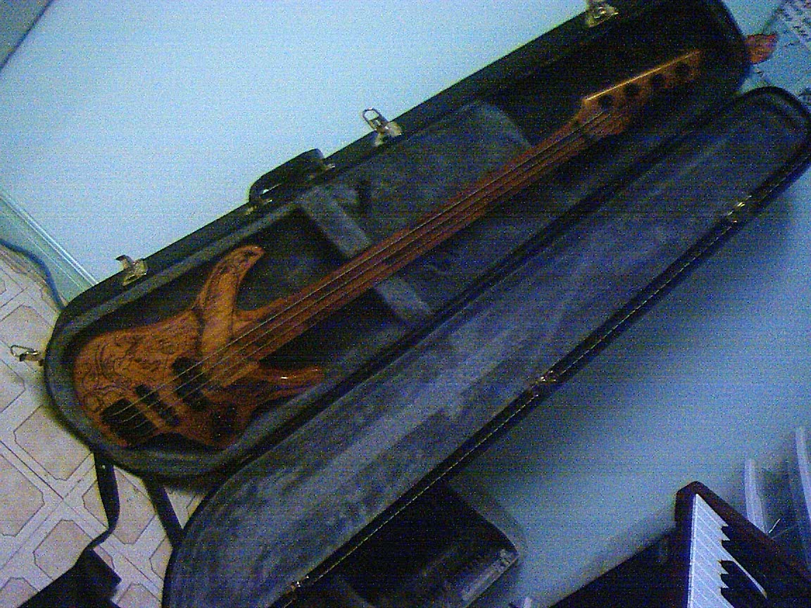elz_bass_7