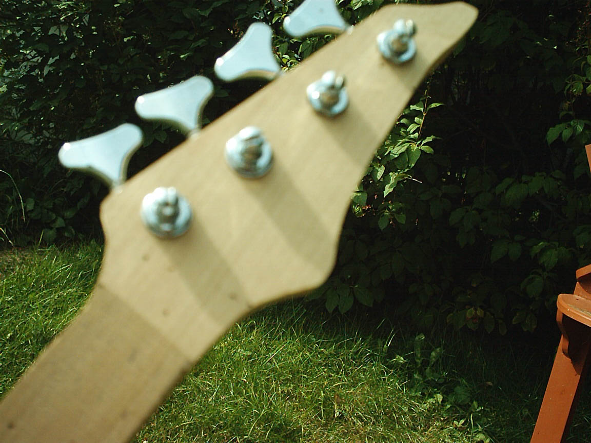 b8_head_front