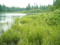 nature_bordeleau