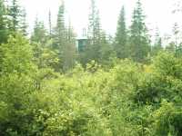 nature_cabane_2
