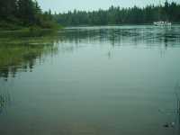 nature_plage_marecage