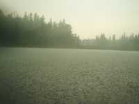 nature_pluie