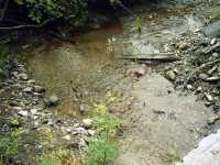 nature_ruisseau