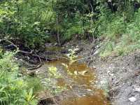 nature_ruisseau_2
