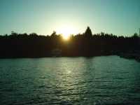 sunshine
