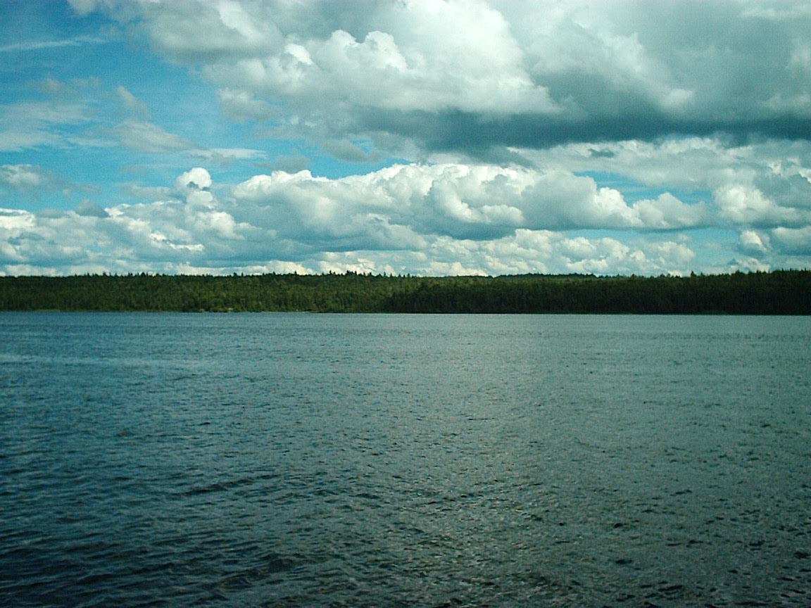 lacstfrancois