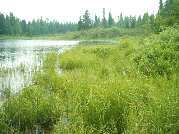 nature_bordeleau