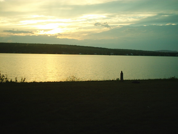 nature_marina_mario