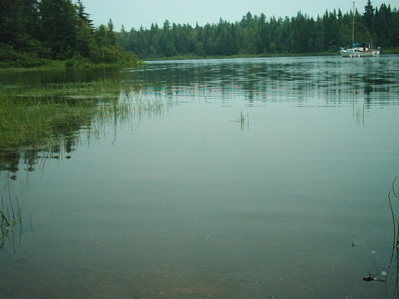 nature_plage_marecage