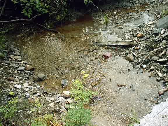 nature_ruisseau