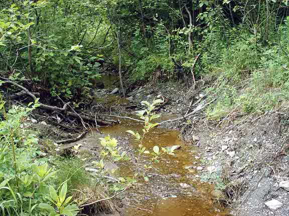 nature_ruisseau_2