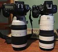 6d_r6_white_zoom