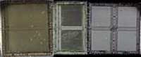 AM27C400_cell