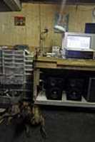 amiga_hippoplayer_loudspeakers