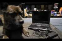 broken_thinkpad