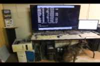 qemu_dos_on_dos