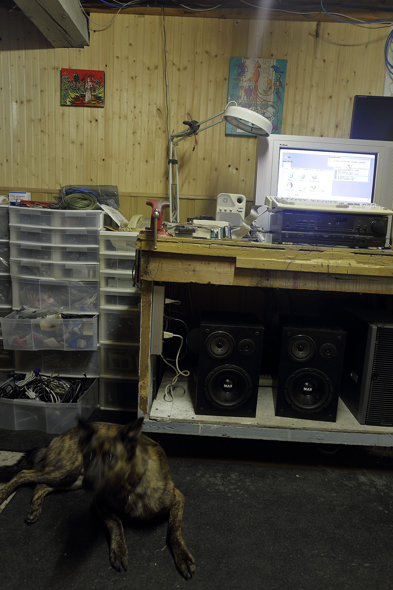 amiga_hippoplayer_loudspeakers