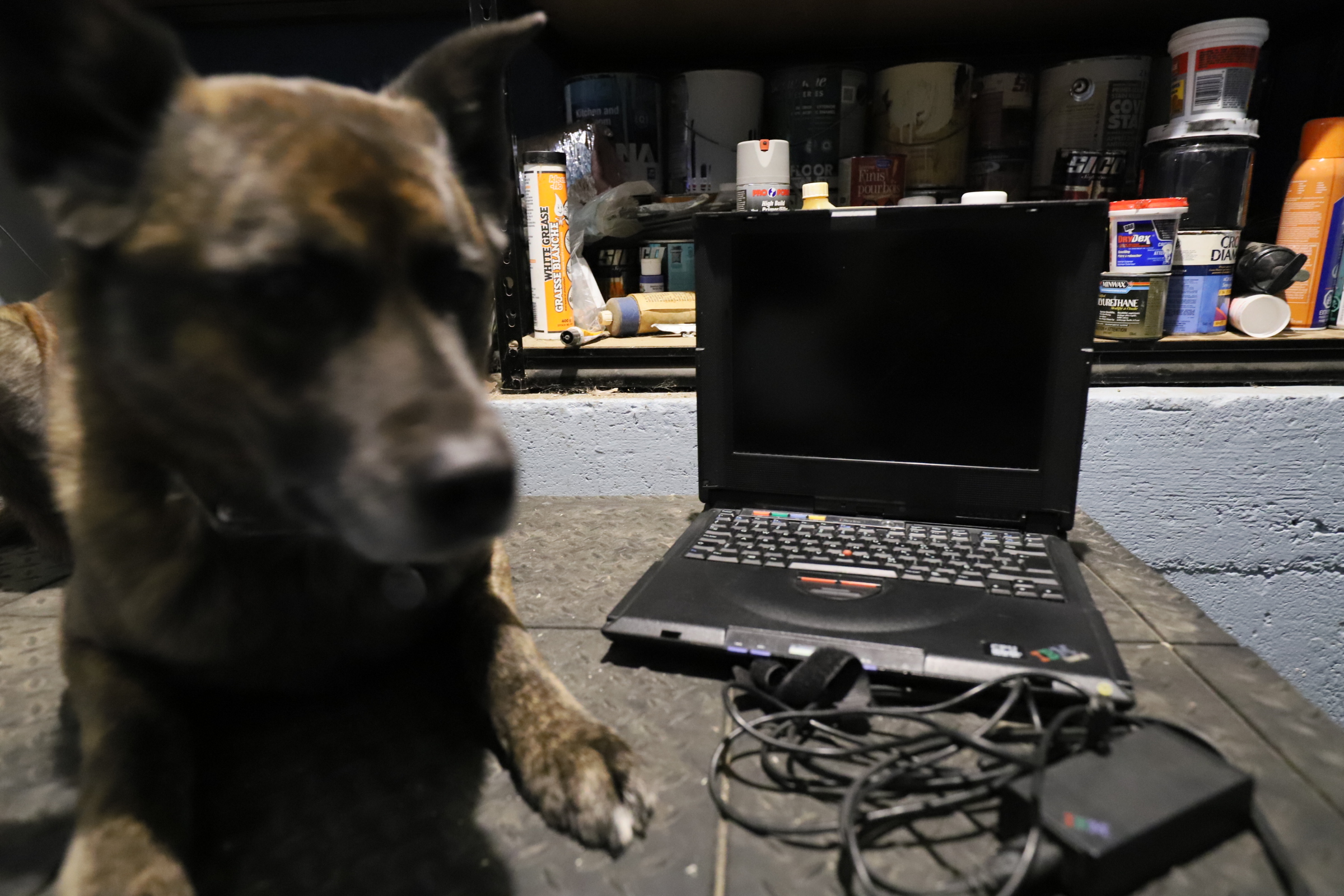 broken_thinkpad